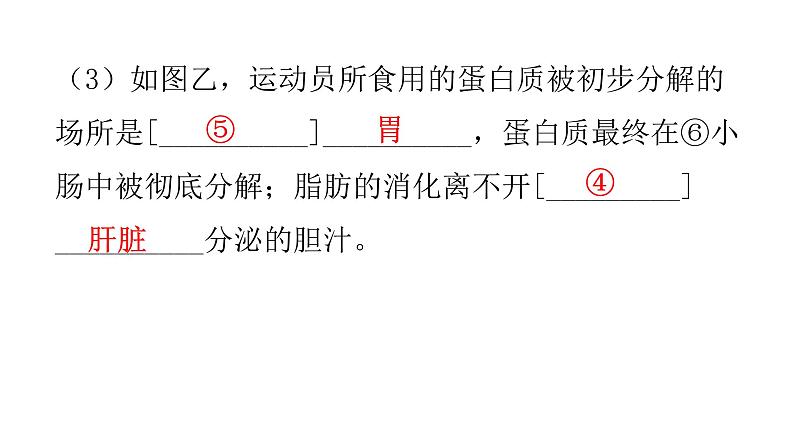 北师大版七年级生物下册题型一读图理解课件第6页