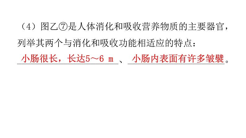 北师大版七年级生物下册题型一读图理解课件第7页