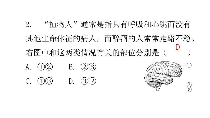 北师大版七年级生物下册第十二章过关训练课件第5页