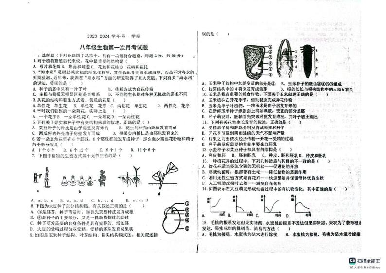 山东省德州市宁津县育新中学2023-2024学年八年级上学期10月月考生物试题01