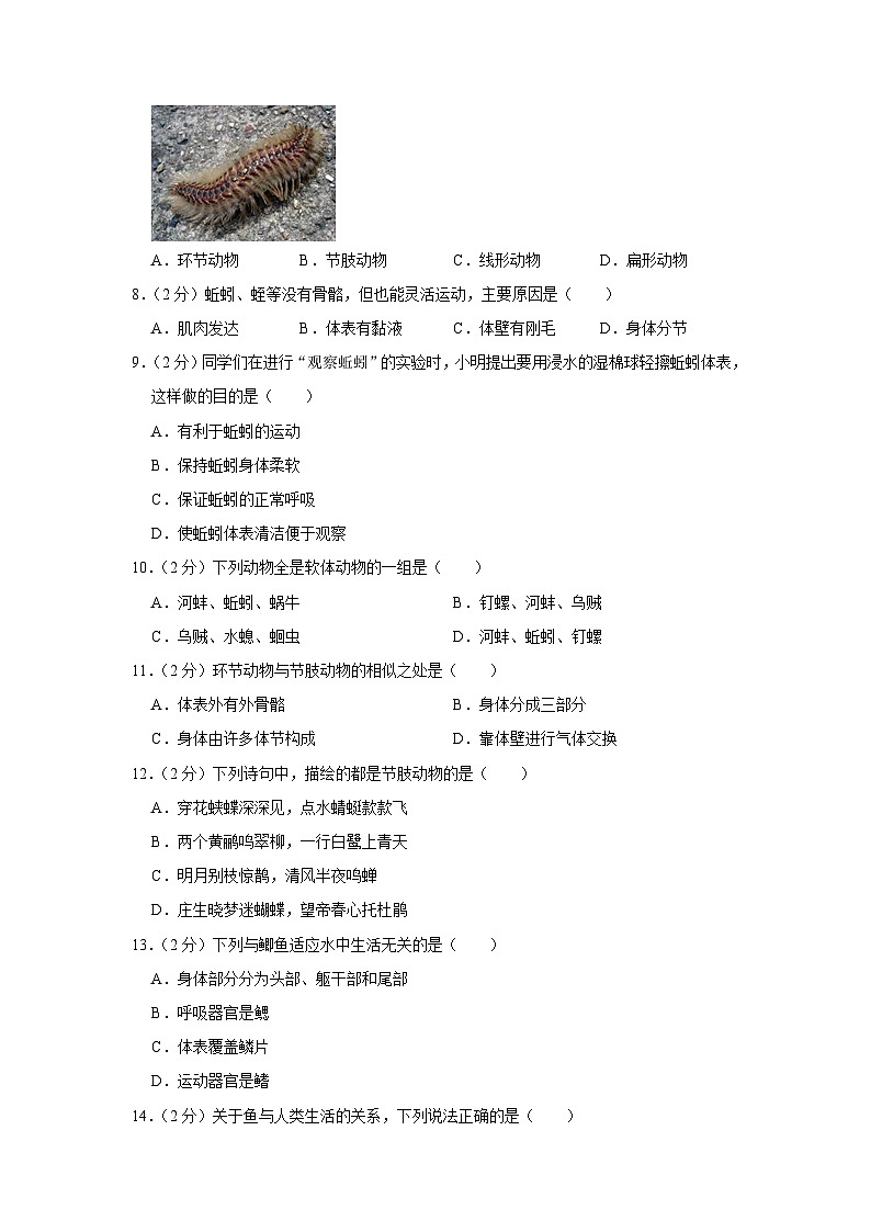 广西南宁市江南区吴圩镇初级中学2023-2024学年八年级上学期调研生物试卷(9月份)(月考)第2页