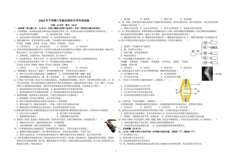 湖南省岳阳市第十九中学2023-2024学年八年级上学期10月月考生物试题第1页