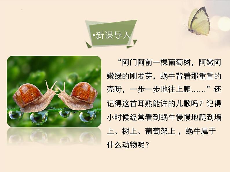 第五单元第一章第三节《软体动物和节肢动物》课件人教版八年级生物上册第1页
