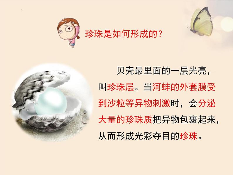第五单元第一章第三节《软体动物和节肢动物》课件人教版八年级生物上册第7页