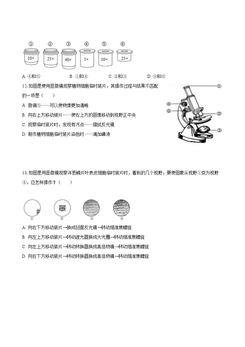 2023-2024学年江苏省盐城市东台市第五联盟七年级（上）月考生物试卷（10月份）（含解析）02