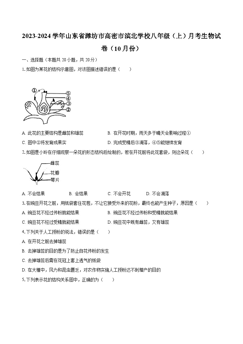 2023-2024學(xué)年山東省濰坊市高密市濱北學(xué)校八年級（上）月考生物試卷（10月份）（含解析）第1頁