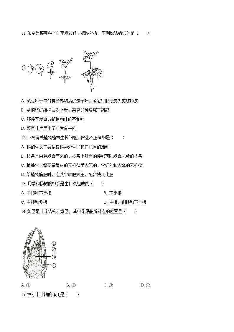 2023-2024學(xué)年山東省濰坊市高密市濱北學(xué)校八年級（上）月考生物試卷（10月份）（含解析）第3頁