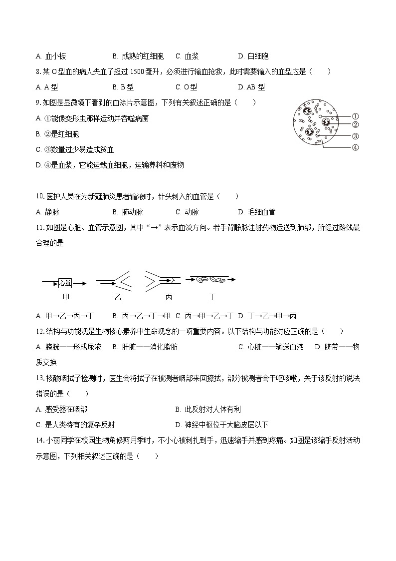 2022-2023学年福建省三明市宁化县七年级（下）第三次段考生物试卷（含解析）02