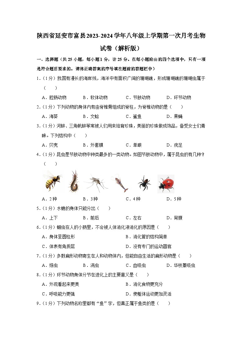 陕西省延安市富县2023-2024学年八年级上学期第一次月考生物试卷第1页