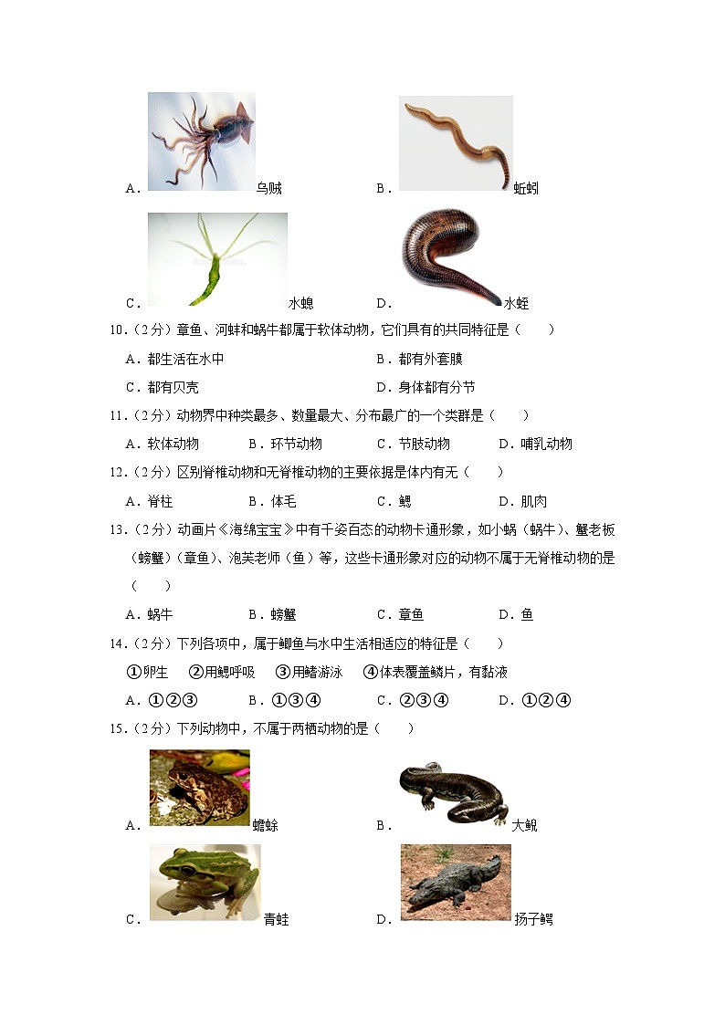 湖南省邵阳市北塔区芙蓉学校2023-2024学年八年级上学期第一次月考生物试卷第2页