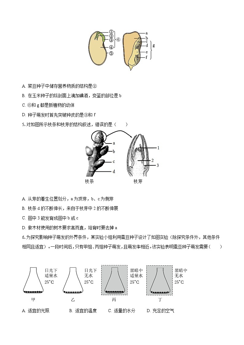 2023-2024学年山东省济南市槐荫区济微中学八年级(上)月考生物试卷(10月份)(含解析)02