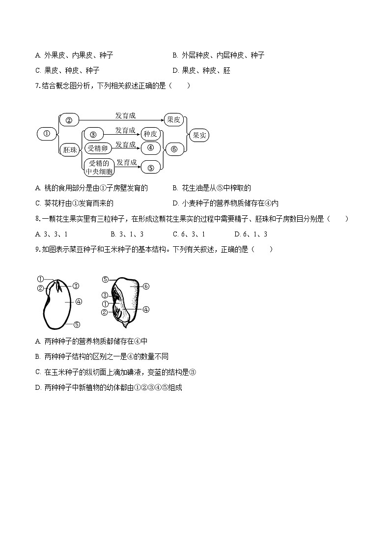 2023-2024学年山东省枣庄市峄城区东方学校八年级(上)月考生物试卷(10月份)(含解析)02