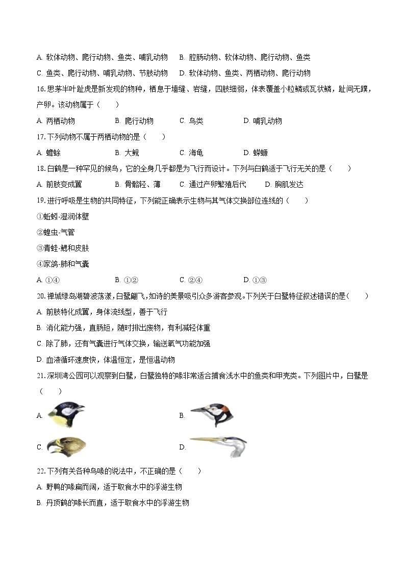 2023-2024学年广东省佛山市八年级（上）第一次月考生物试卷（含解析）03