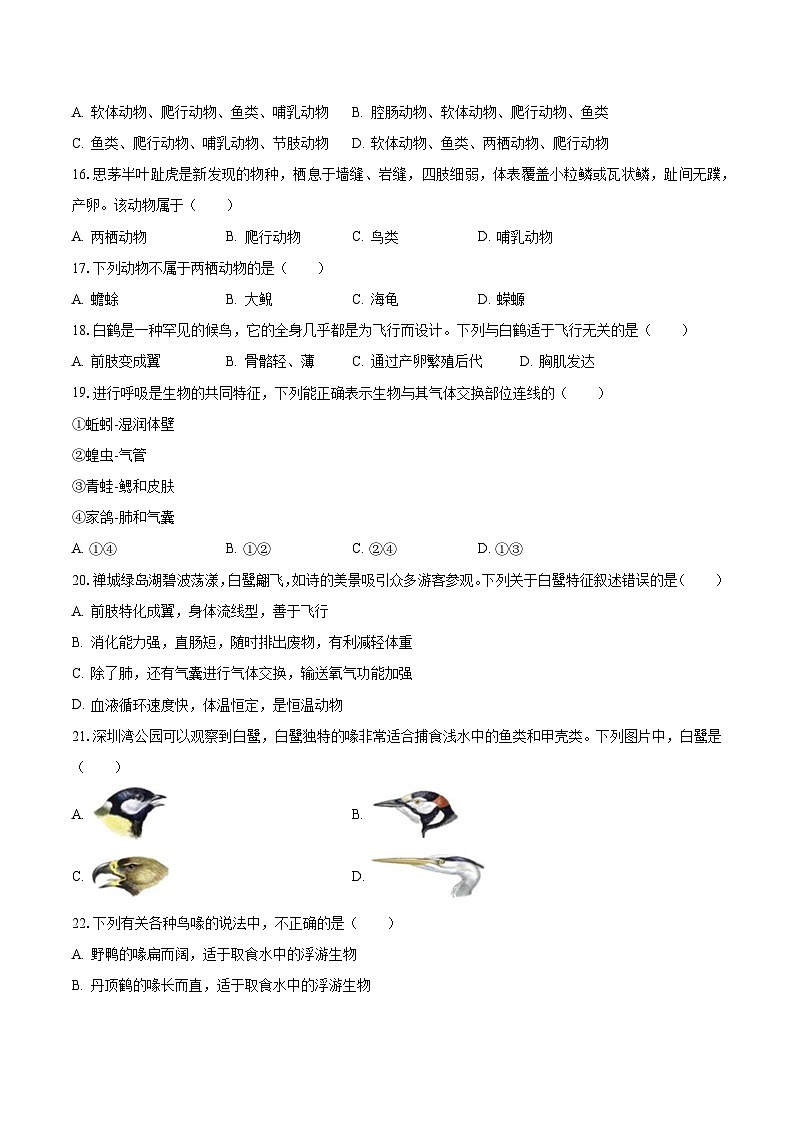 2023-2024学年广东省佛山市八年级(上)第一次月考生物试卷(含解析)第3页