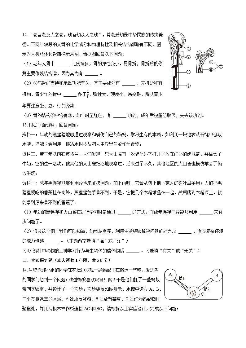 2023-2024学年安徽省淮南市西部地区八年级(上)月考生物试卷(10月份)(含解析)第3页