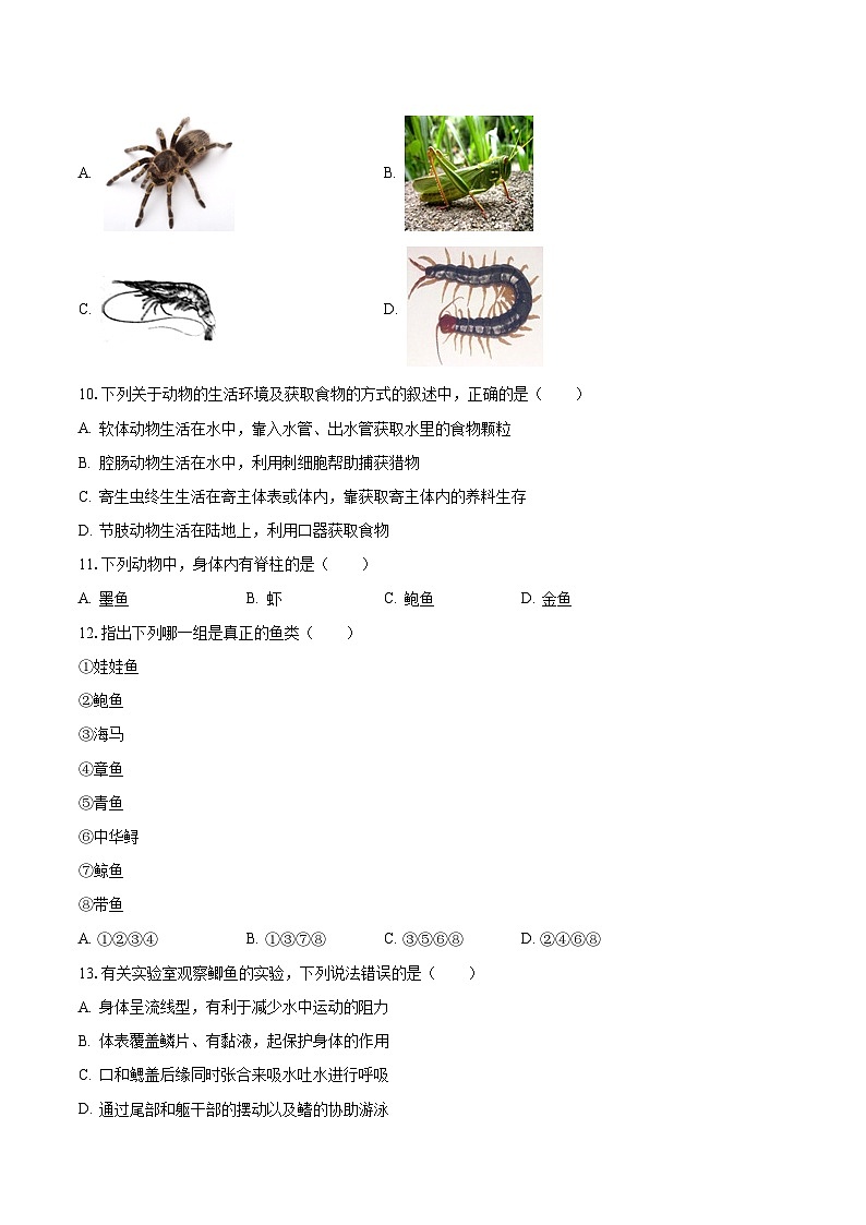 2023-2024学年吉林省吉林市昌邑区吉化实验学校八年级(上)月考生物试卷(9月份)(含解析)第2页