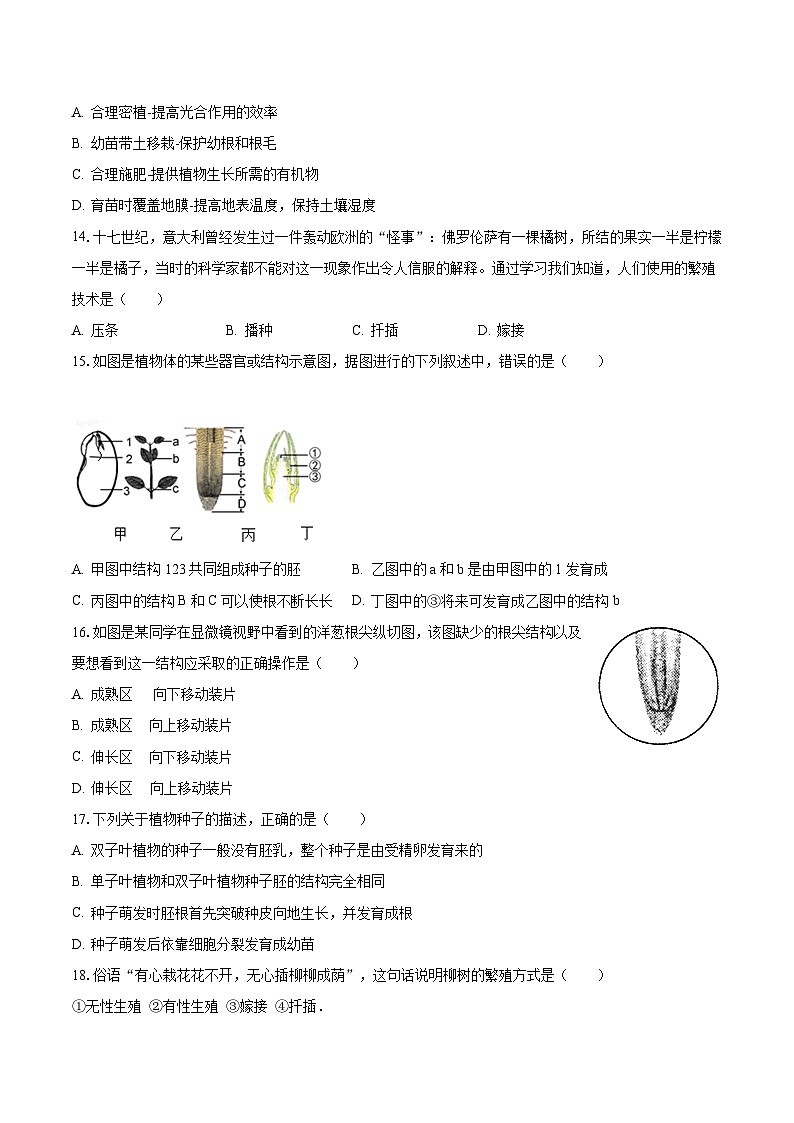 2023-2024学年山东省滨州市邹平县市梁邹实验中学八年级(上)月考生物试卷(10月份)(含解析)第3页