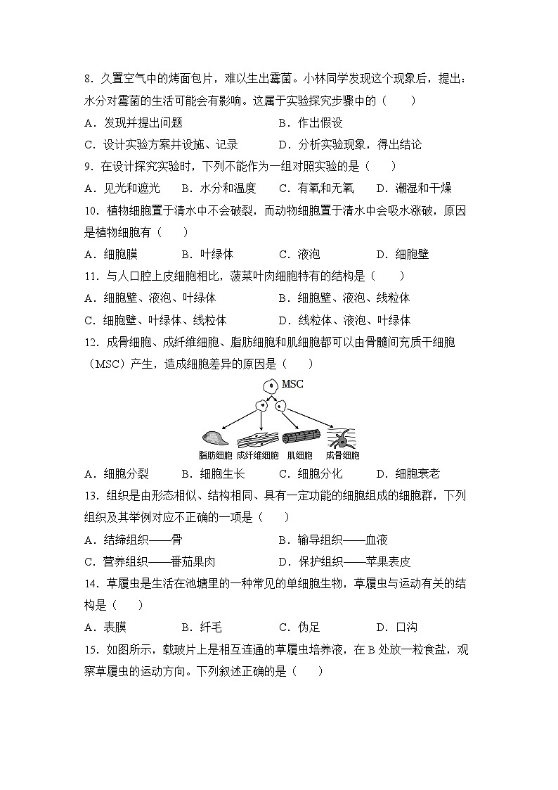 江苏省盐城市建湖县2023-2024学年七年级上学期期中模拟生物试题第2页