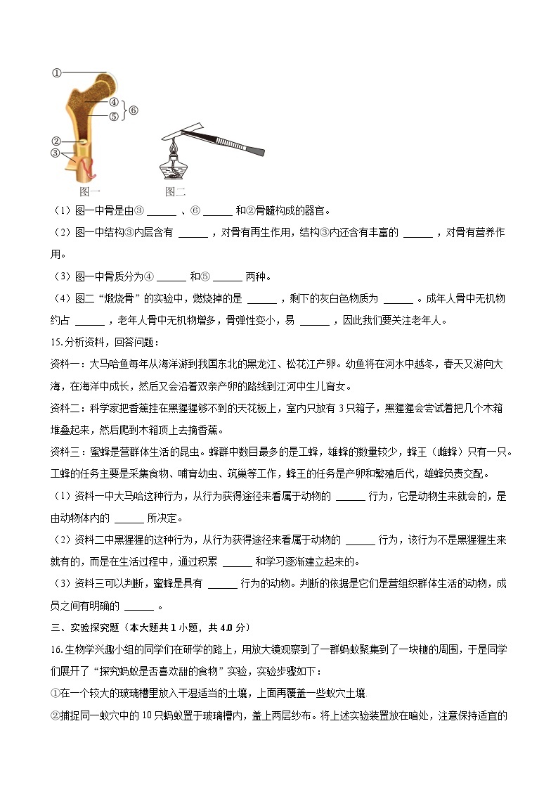 2023-2024学年辽宁省抚顺实验中学八年级（上）月考生物试卷（10月份）(含解析）03