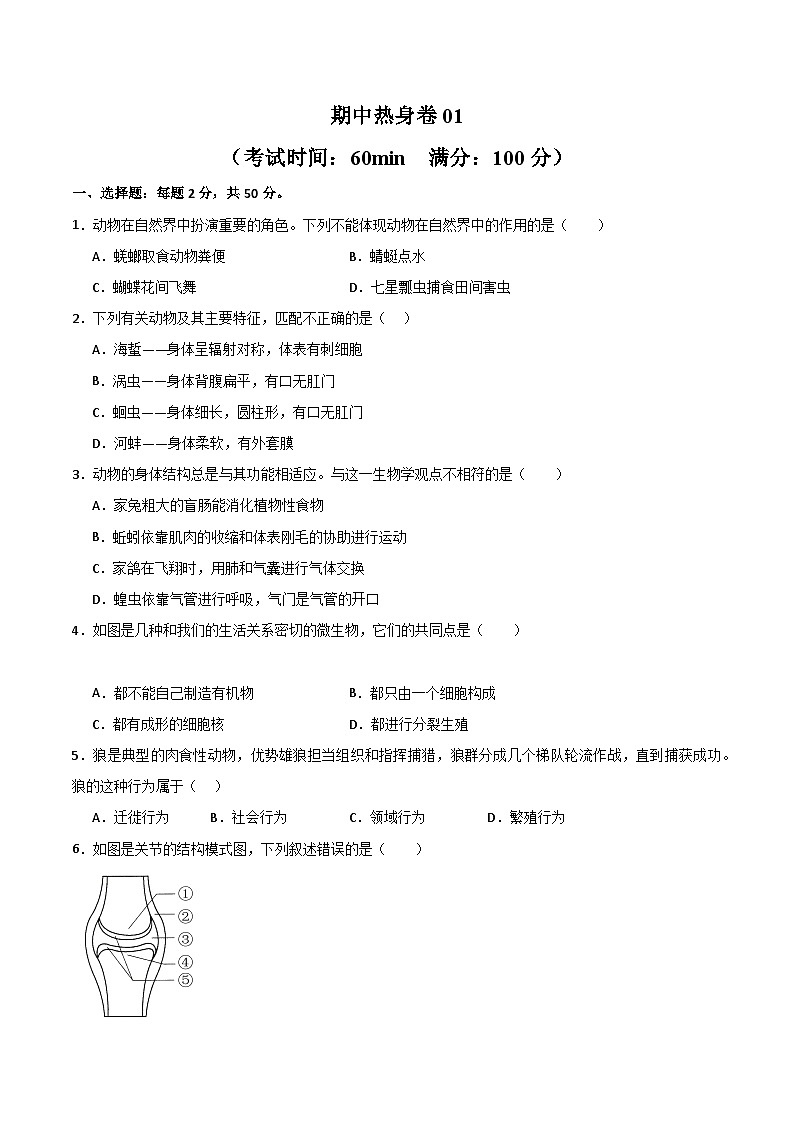 【期中模拟】(人教版)2023-2024学年八年级生物上册 期中真题分类专题汇编 期中热身卷01.zip01