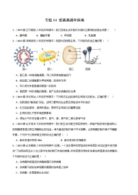 【期中真题】（人教版）2023-2024学年八年级生物上学期期中真题分类专题汇编 专题04 细菌、真菌和病毒-试卷.zip