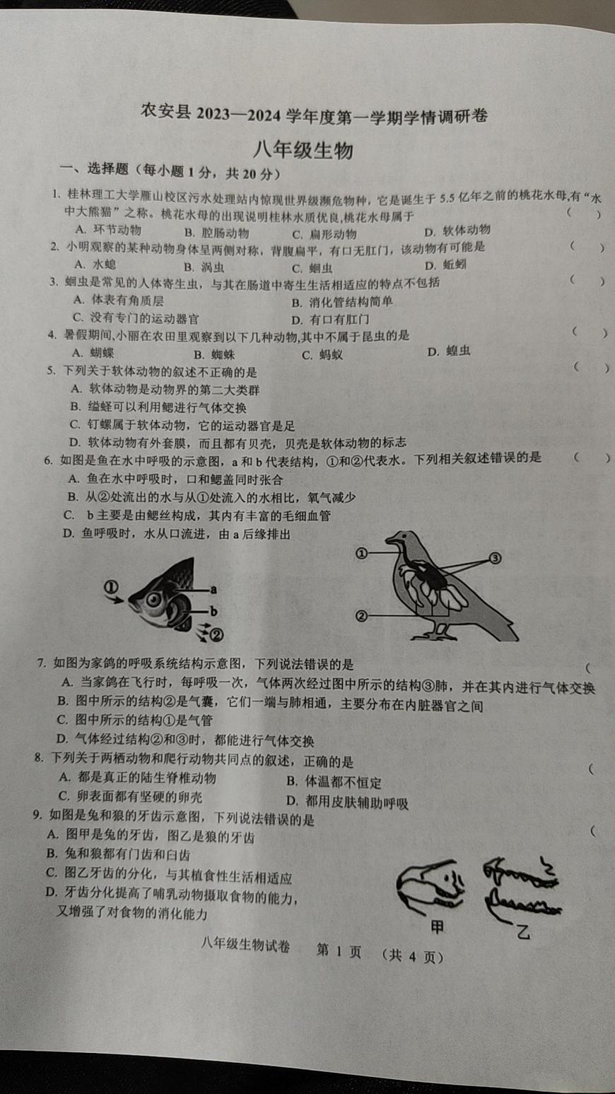 吉林省長春市農(nóng)安縣2023一2024學年八年級上學期期中學情調研生物試題第1頁