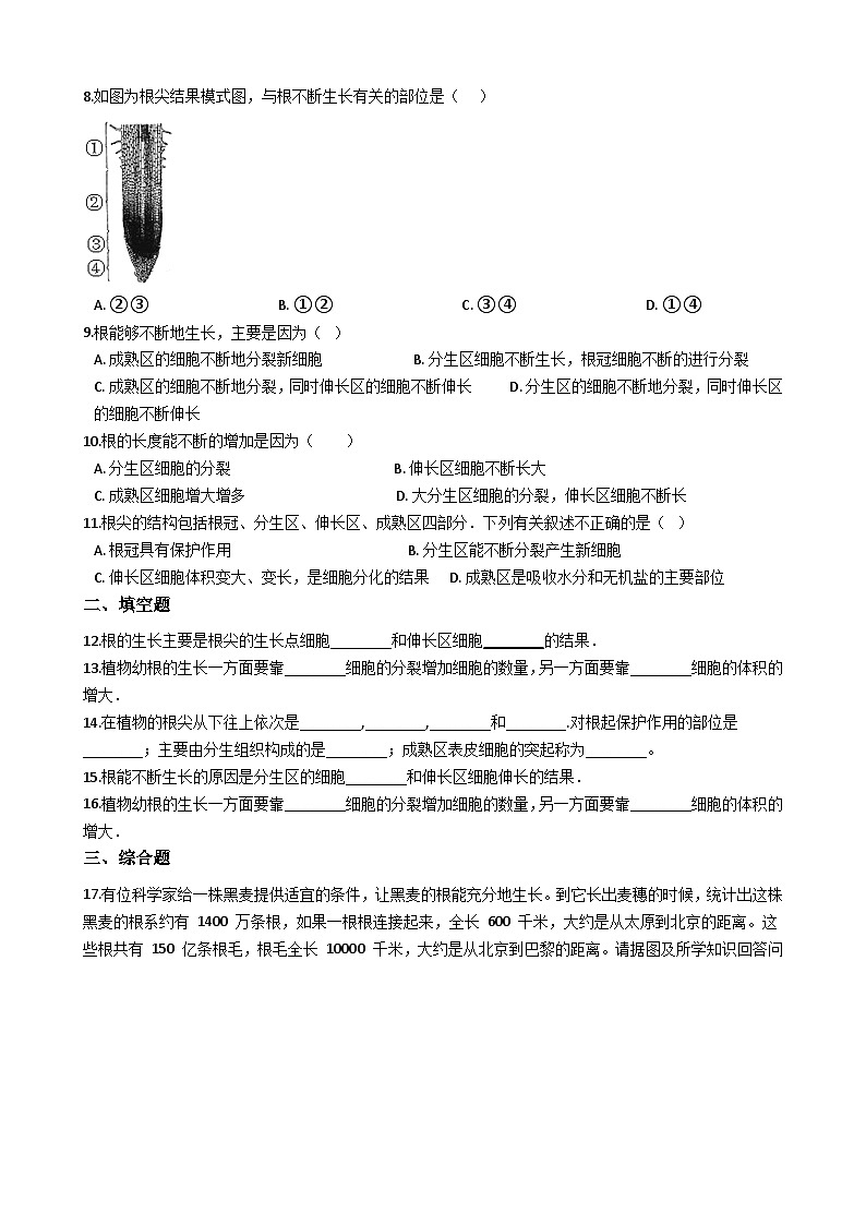 冀教版八年级上册生物 3.2.1根的生长 同步测试与解析02