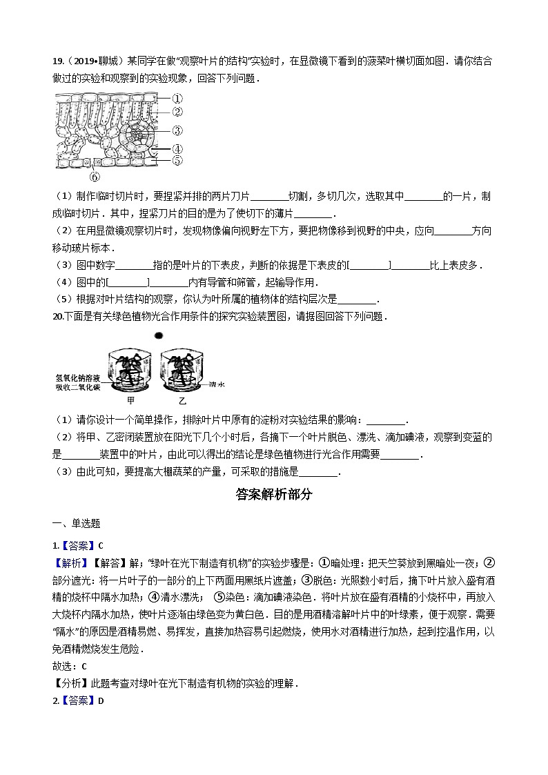 冀教版八年级上册生物 3.5绿色植物在生物圈中的作用 同步测试与解析第3页