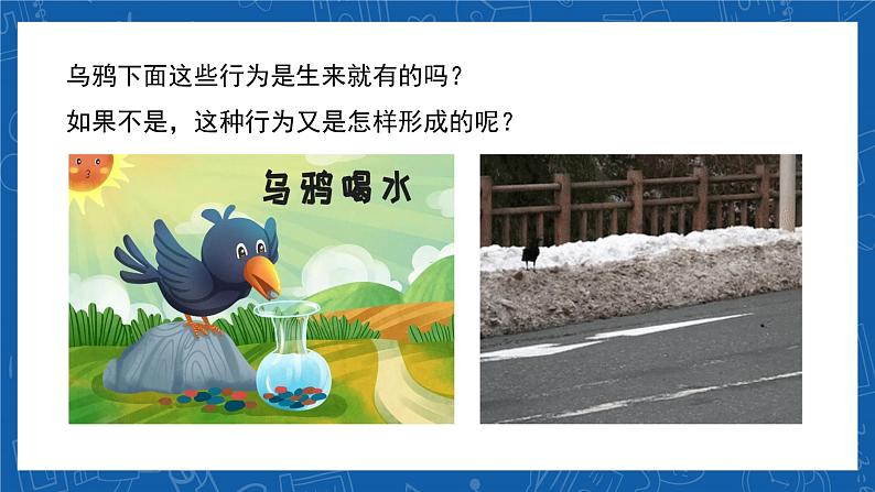 5.2.2+先天性行为和学习行为-2023-2024学年八年级生物上学期同步精品课件(人教版) 第2页