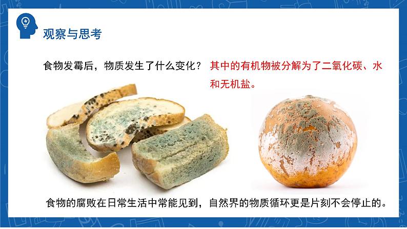 5.4.4+细菌和真菌在自然界中的作用-2023-2024学年八年级生物上学期同步精品课件(人教版)第4页