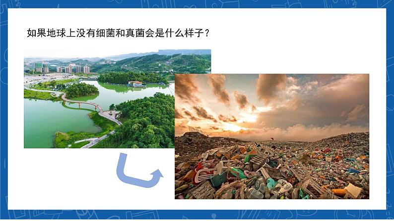5.4.4+细菌和真菌在自然界中的作用-2023-2024学年八年级生物上学期同步精品课件(人教版)第6页