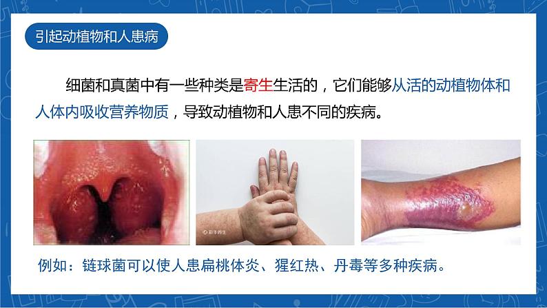 5.4.4+细菌和真菌在自然界中的作用-2023-2024学年八年级生物上学期同步精品课件(人教版)第8页