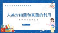 人教版 (新課標(biāo))八年級上冊第五單元 生物圈中的其他生物第四章  細(xì)菌和真菌第五節(jié) 人類對細(xì)菌和真菌的利用說課ppt課件