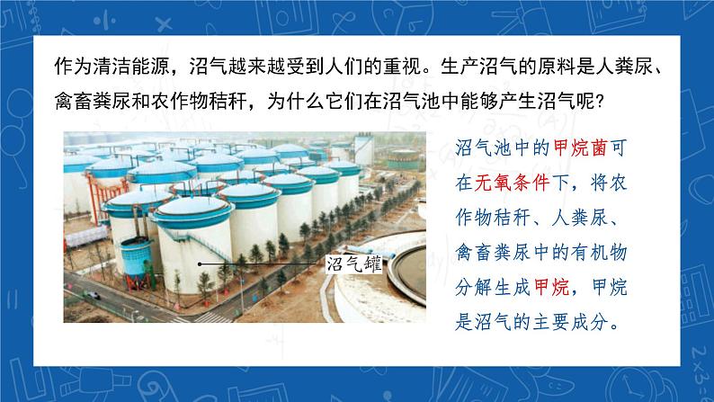5.4.5+人类对细菌和真菌的利用-2023-2024学年八年级生物上学期同步精品课件(人教版)第2页
