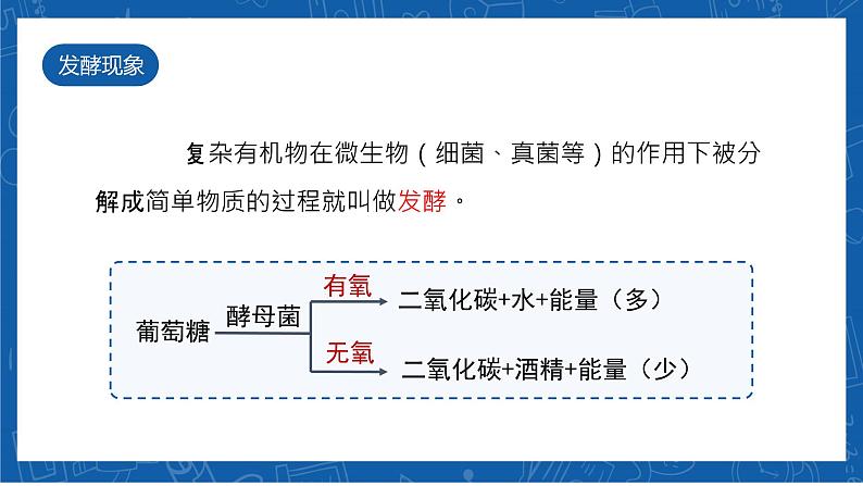 5.4.5+人类对细菌和真菌的利用-2023-2024学年八年级生物上学期同步精品课件(人教版)第6页