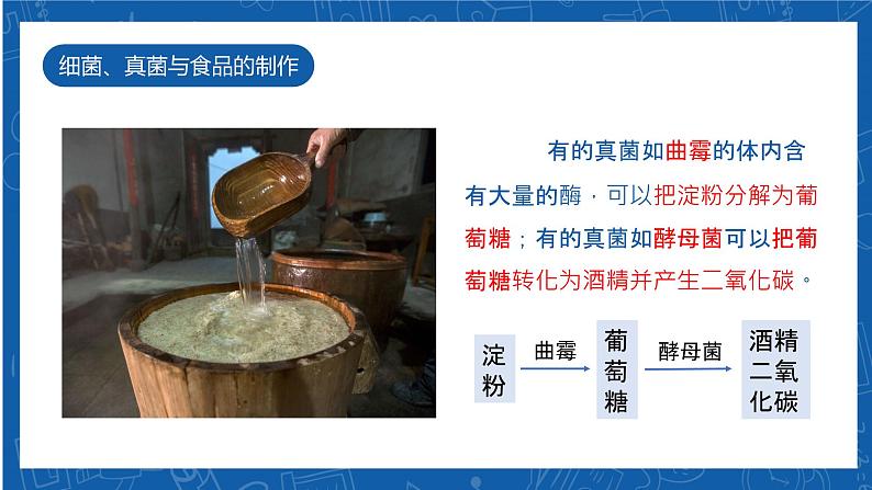 5.4.5+人类对细菌和真菌的利用-2023-2024学年八年级生物上学期同步精品课件(人教版)第7页