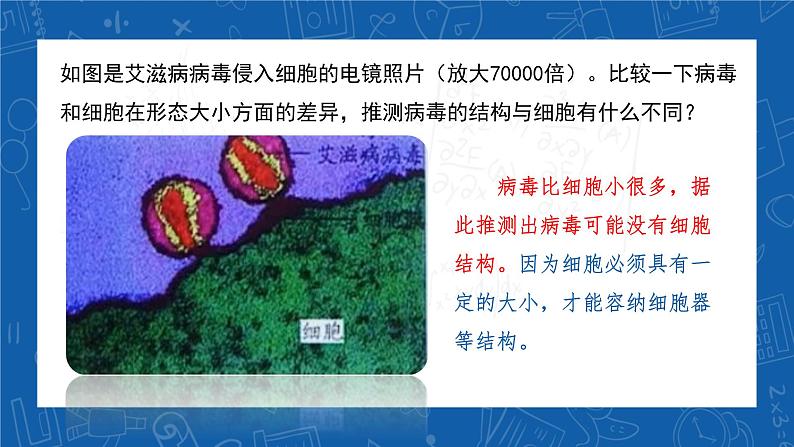 5.5+病毒-2023-2024学年八年级生物上学期同步精品课件(人教版)第2页