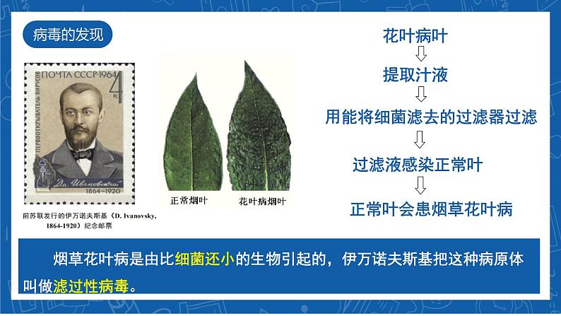 5.5+病毒-2023-2024学年八年级生物上学期同步精品课件(人教版)第4页