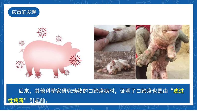5.5+病毒-2023-2024学年八年级生物上学期同步精品课件(人教版)第5页
