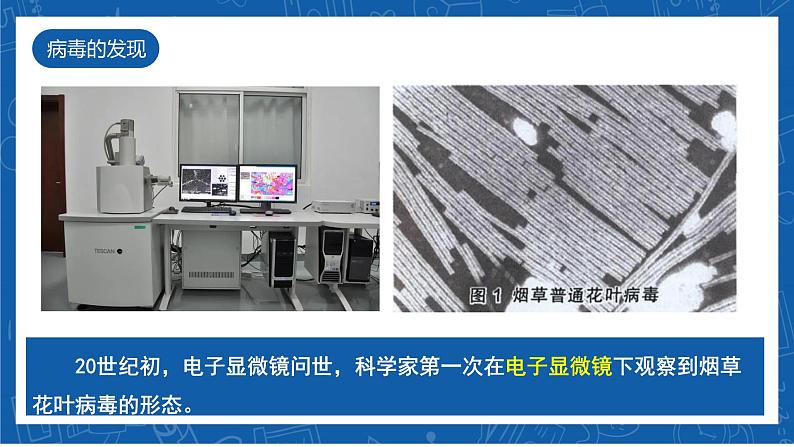 5.5+病毒-2023-2024学年八年级生物上学期同步精品课件(人教版)第6页