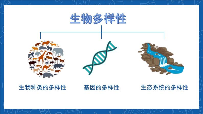 6.2+认识生物的多样性-2023-2024学年八年级生物上学期同步精品课件(人教版)04