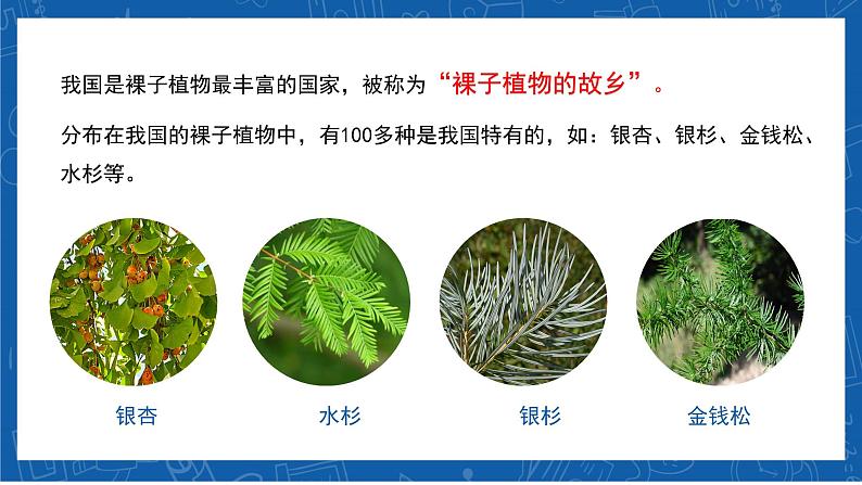 6.2+认识生物的多样性-2023-2024学年八年级生物上学期同步精品课件(人教版)08
