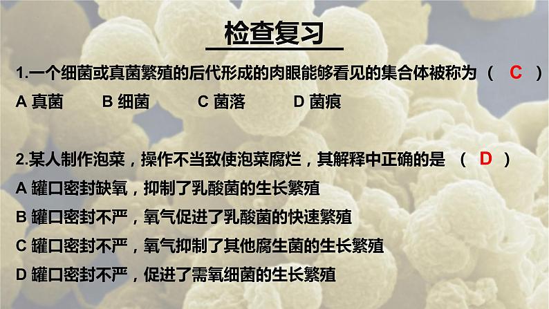 4.2《细菌》课件人教版八年级生物上册第1页