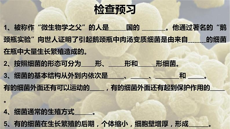 4.2《细菌》课件人教版八年级生物上册第2页