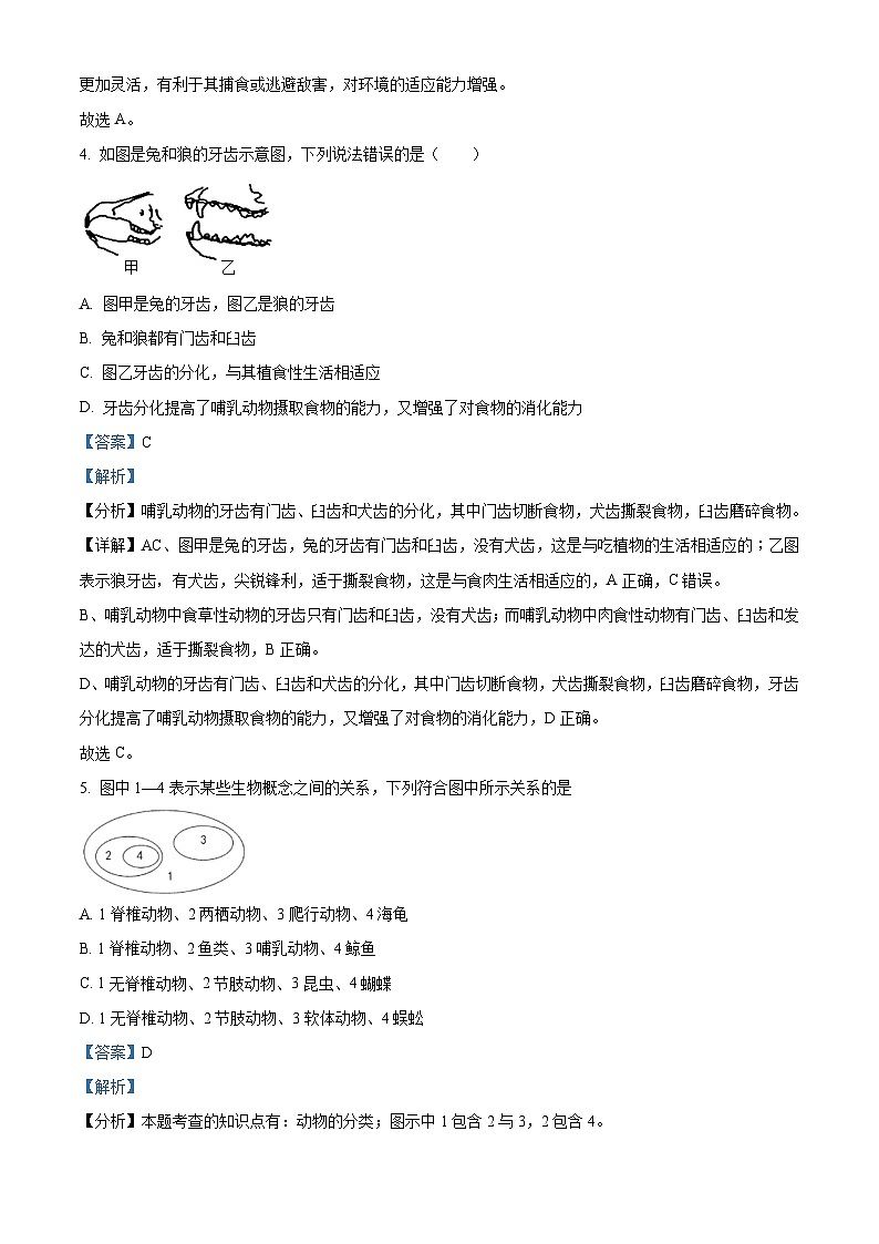 精品解析:河南省郑州市回民初级中学2021-2022学年八年级上学期期末生物试题(解析版)第2页