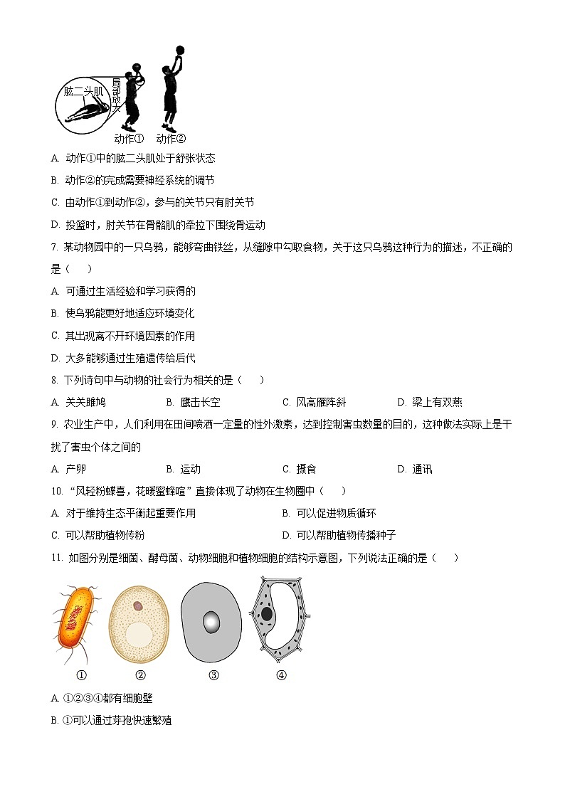 精品解析:河南省郑州市回民初级中学2021-2022学年八年级上学期期末生物试题(原卷版)第2页
