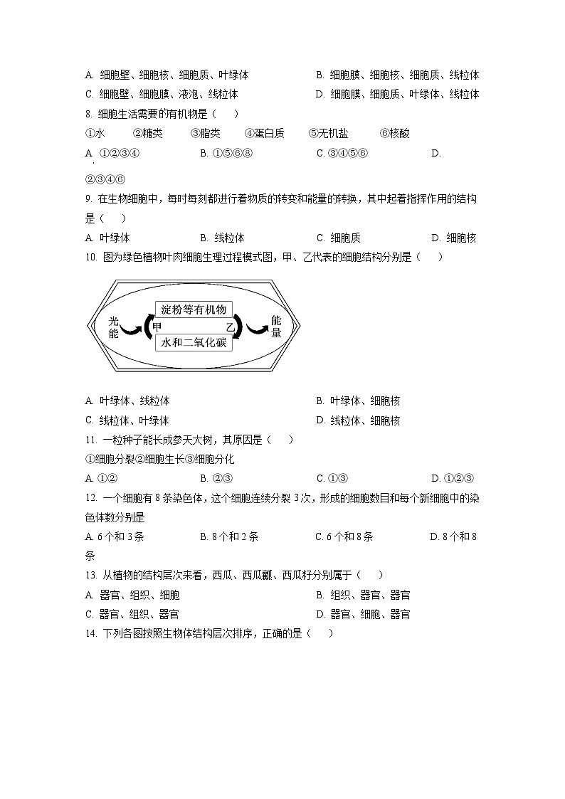 广东省广州市海珠区2021-2022学年七年级上学期期末生物试题(原卷版)02