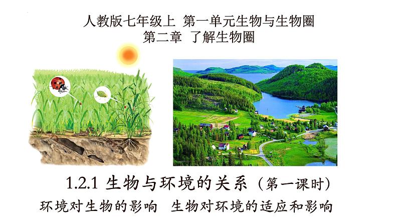 1.2.1+生物与环境的关系+(第一课时)-【精华备课】2023-2024学年七年级生物上册同步教学课件(人教版)01