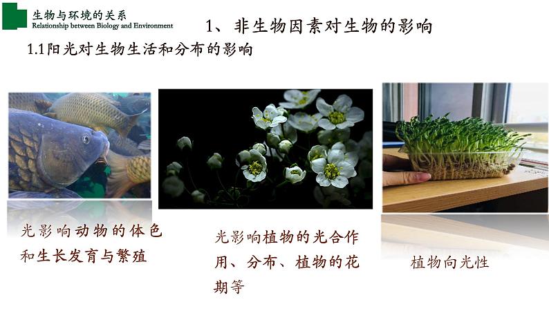 1.2.1+生物与环境的关系+(第一课时)-【精华备课】2023-2024学年七年级生物上册同步教学课件(人教版)05