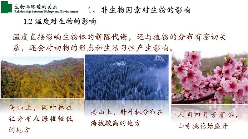 1.2.1+生物与环境的关系+(第一课时)-【精华备课】2023-2024学年七年级生物上册同步教学课件(人教版)06